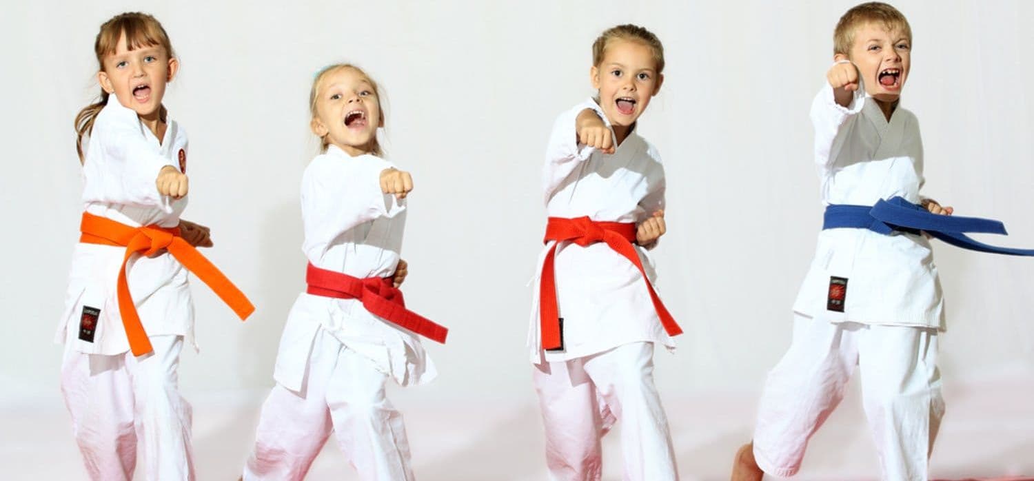 Team Martial Arts Australia Logo on Kidsbook