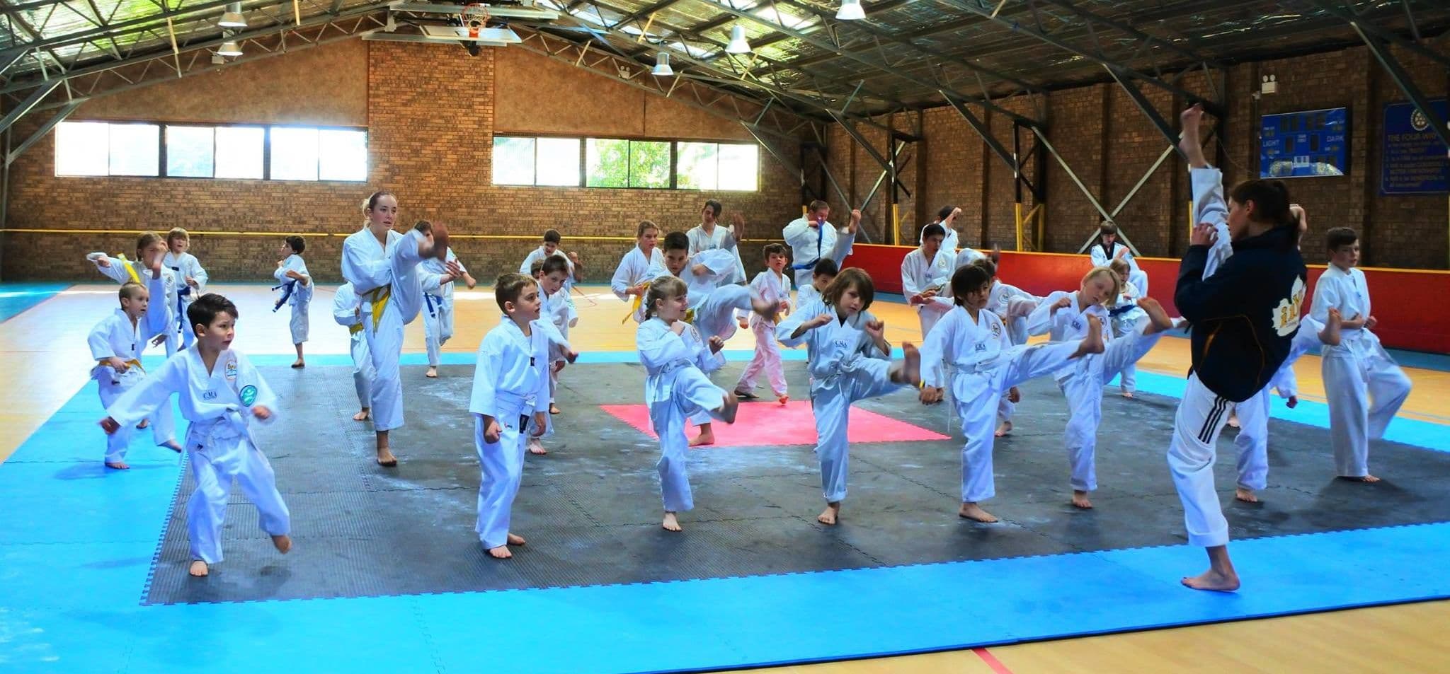 Ilyo Taekwondo Narooma & Cobargo Logo on Kidsbook