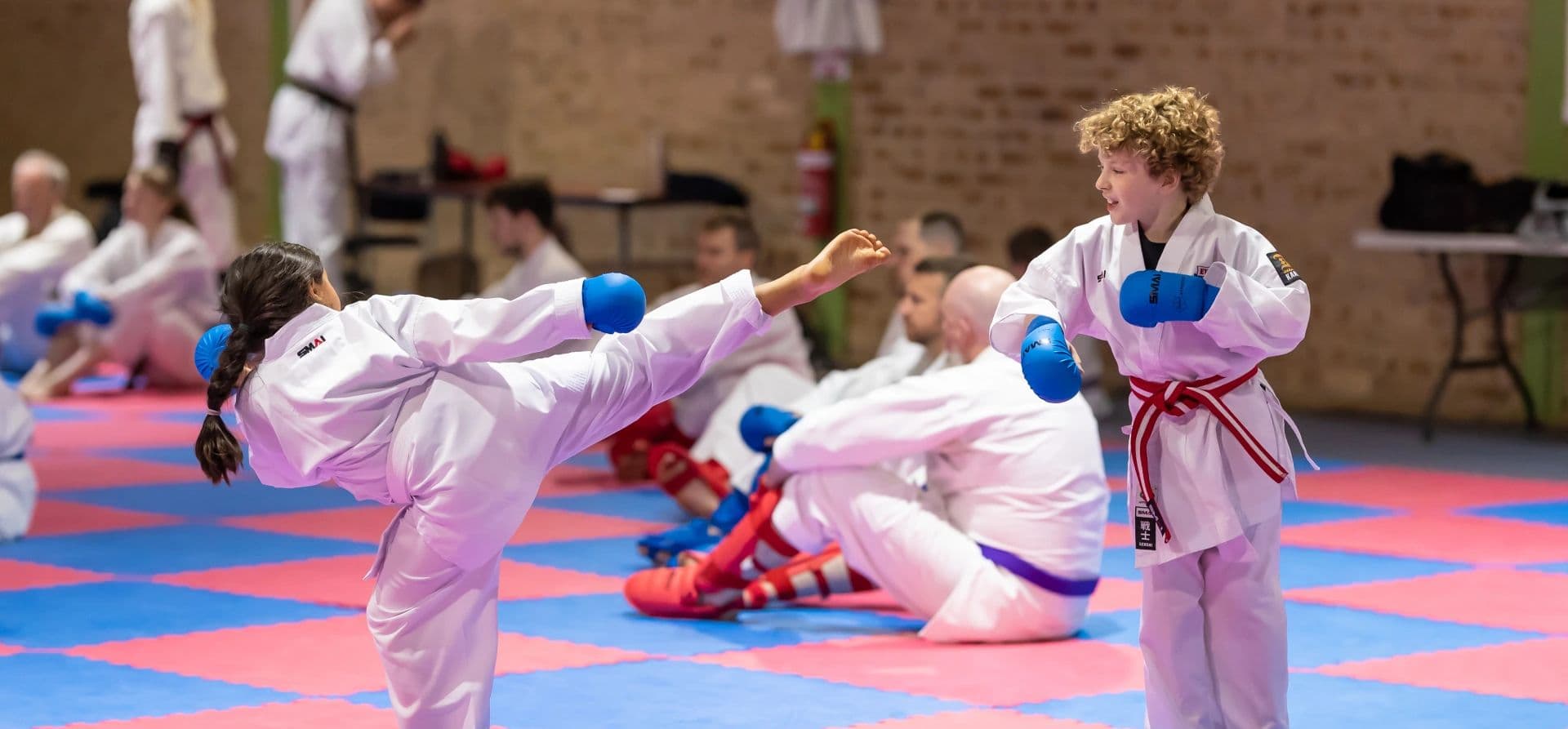 Evolution Martial Arts Logo on Kidsbook