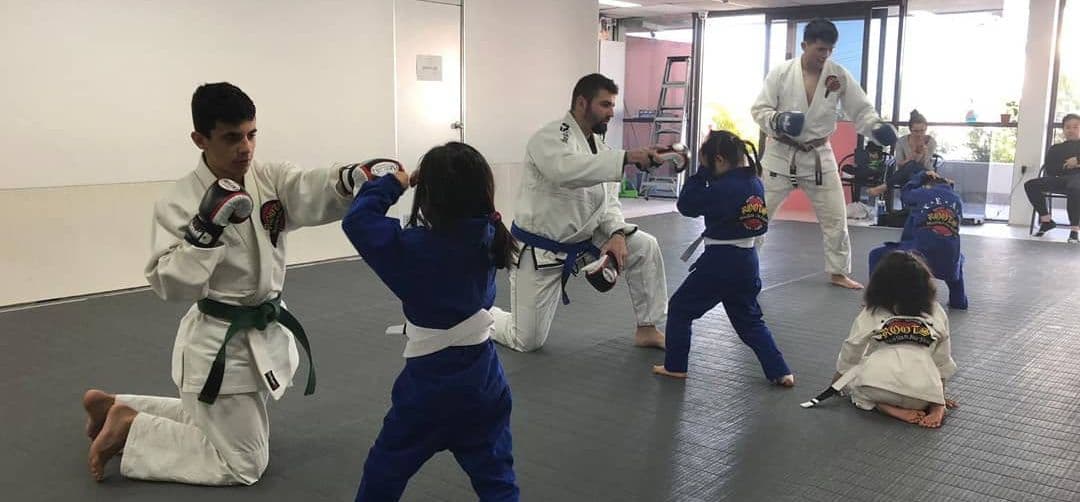 Hurstville Martial Arts Logo on Kidsbook