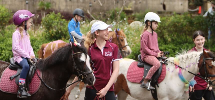 MC Equestrian Riding School Logo on Kidsbook