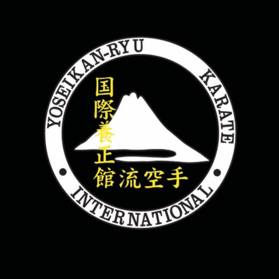 Yoseikan-Ryu Karate Altone Logo on Kidsbook