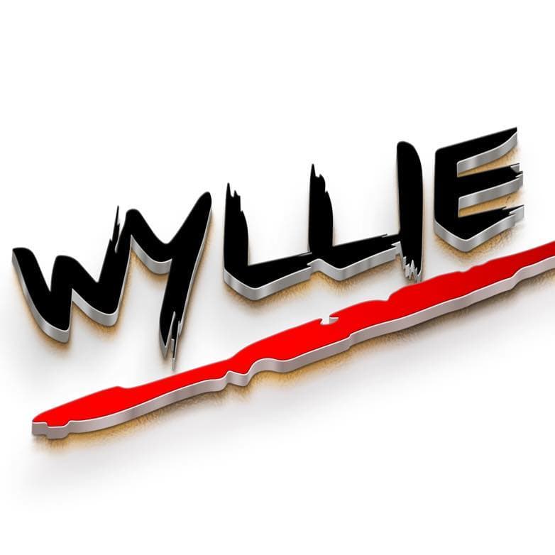 Wyllie Martial Arts Logo on Kidsbook