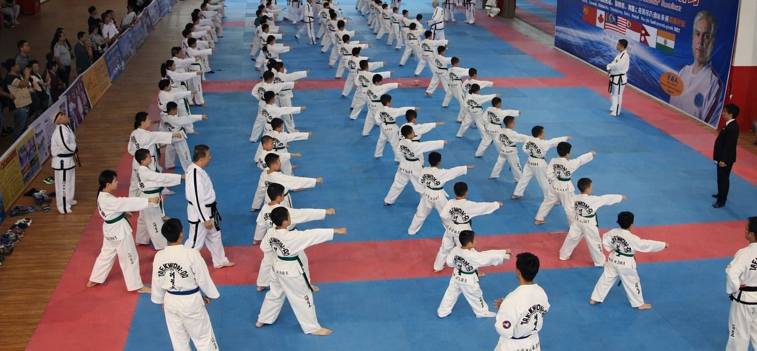 Australian TaeKwon-Do Ki-DoKan International Logo on Kidsbook