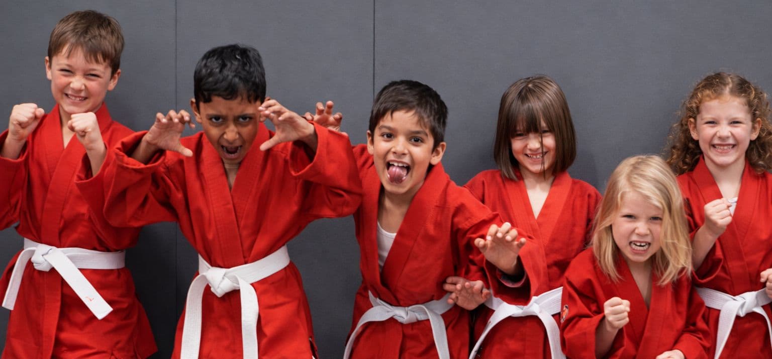 BJJ Brisbane Logo on Kidsbook