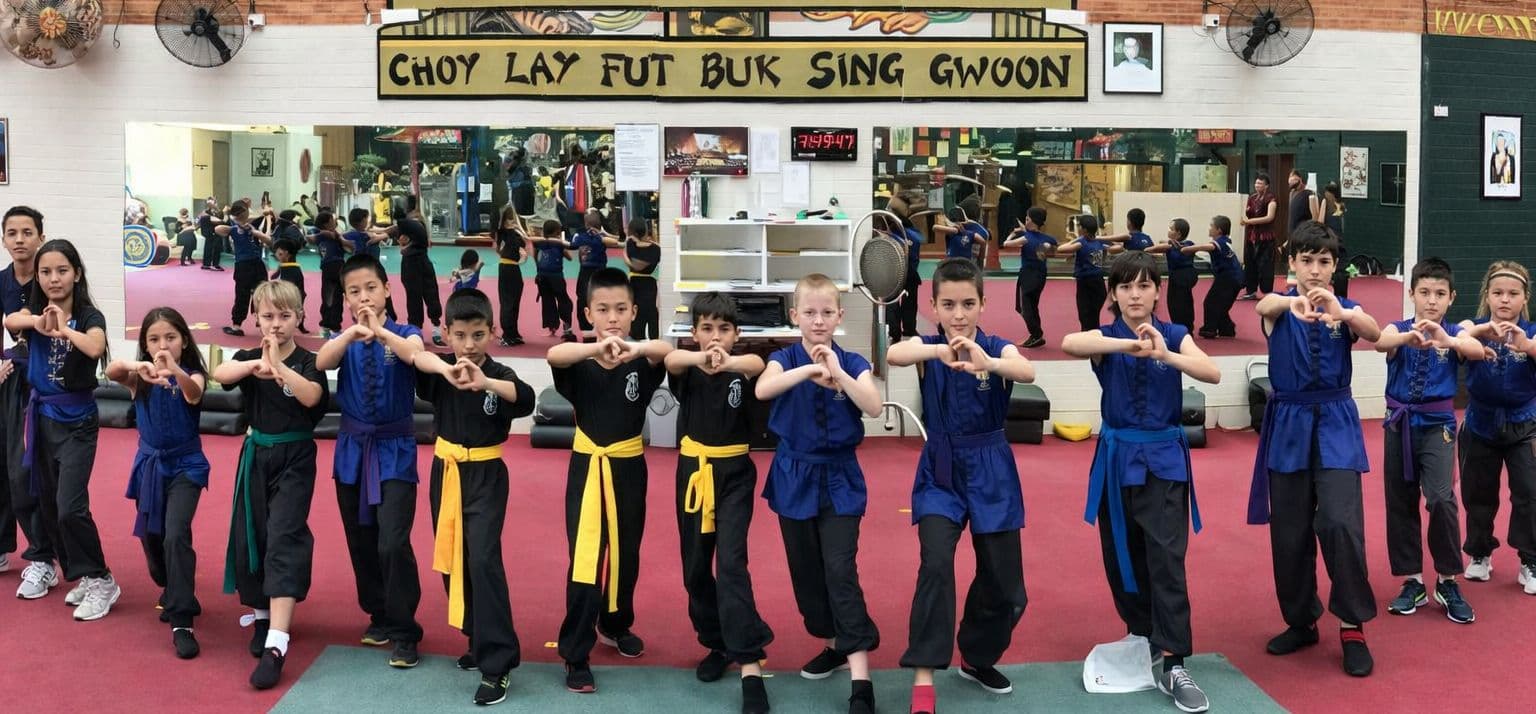 Chinese Kung Fu & Tai Chi Academy Logo on Kidsbook