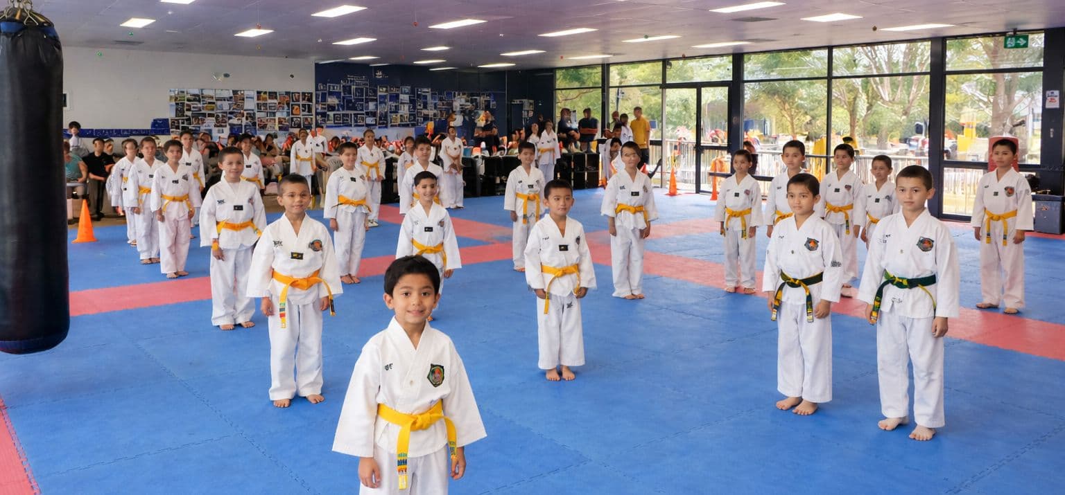Irontiger Taekwondo Logo on Kidsbook