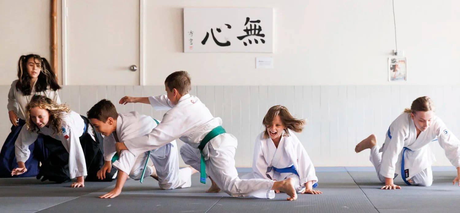Newcastle Aikikai Logo on Kidsbook