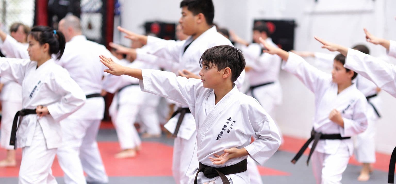 Pollets Martial Arts Newcastle Logo on Kidsbook