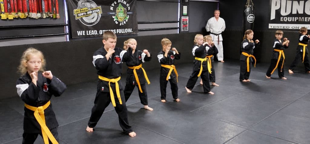 Rising Sun Martial Arts Logo on Kidsbook