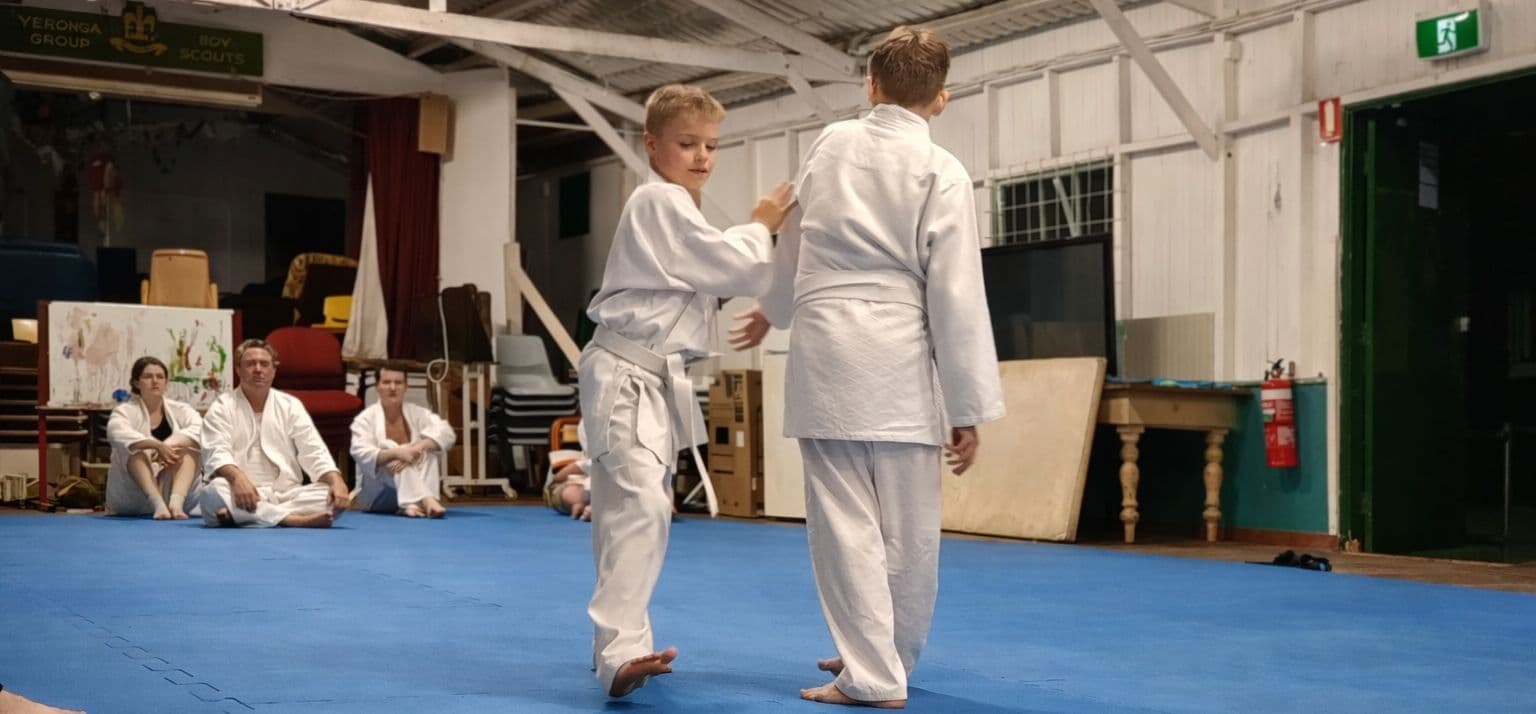 Shinkondo Dojo Logo on Kidsbook