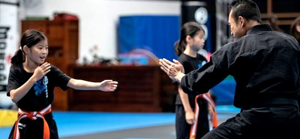 Thornbury Guests Martial Arts Logo on Kidsbook