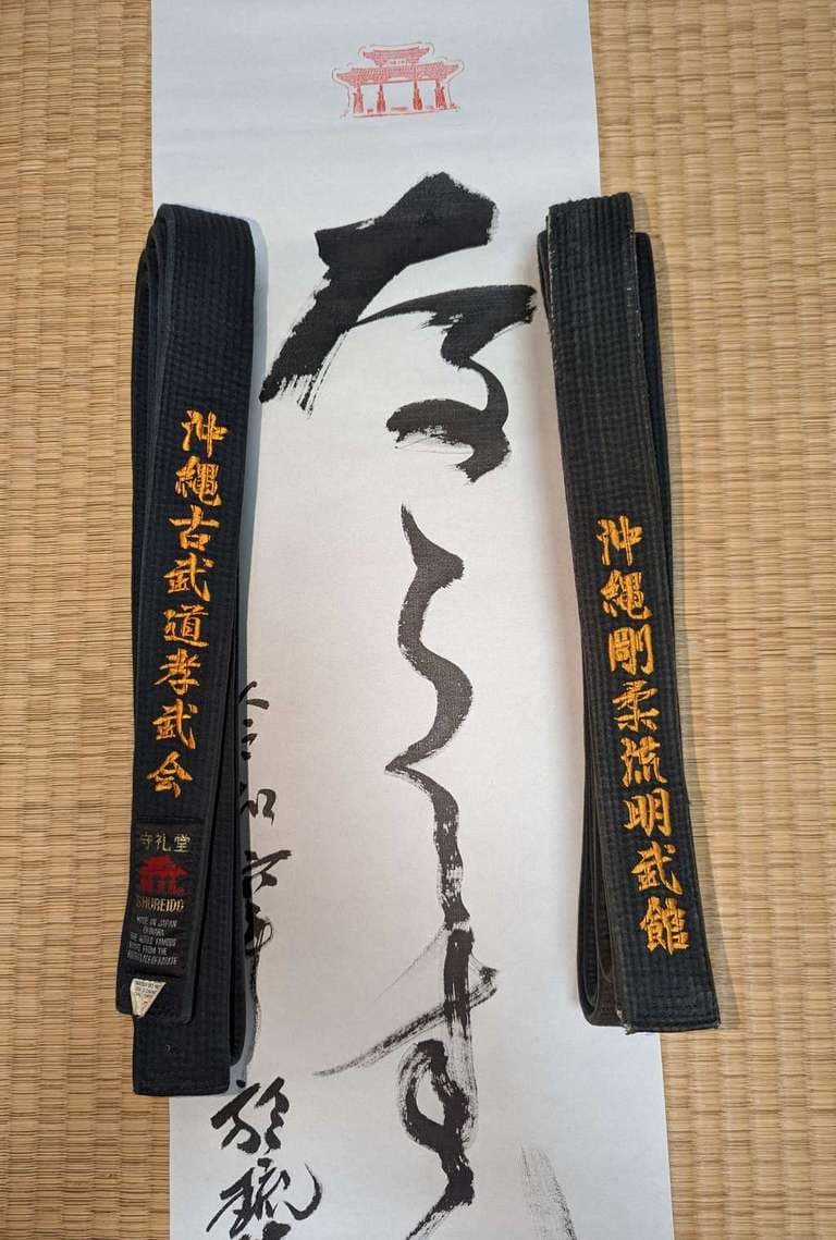 Penshurst Martial Arts Logo on Kidsbook