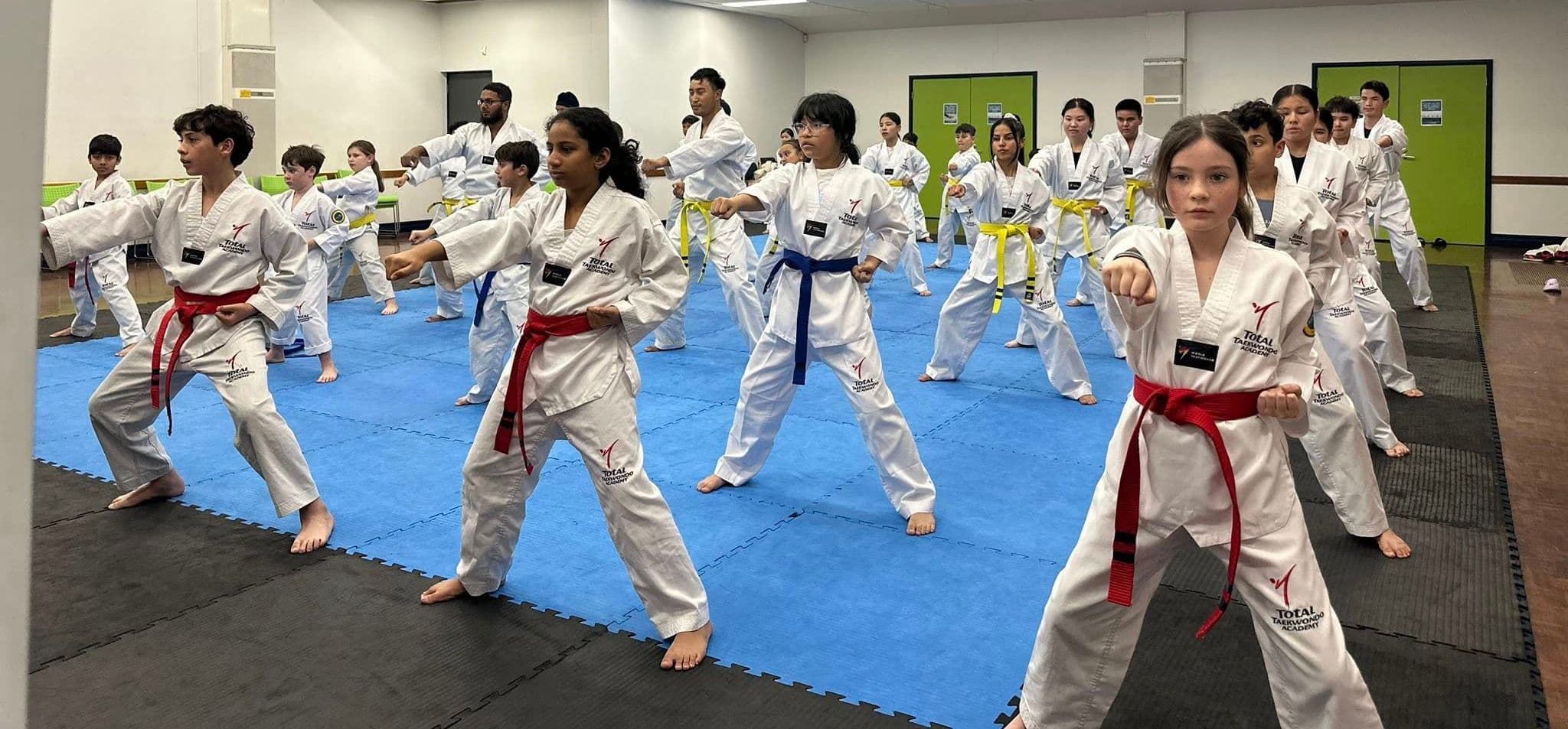 Total Taekwondo Academy Logo on Kidsbook