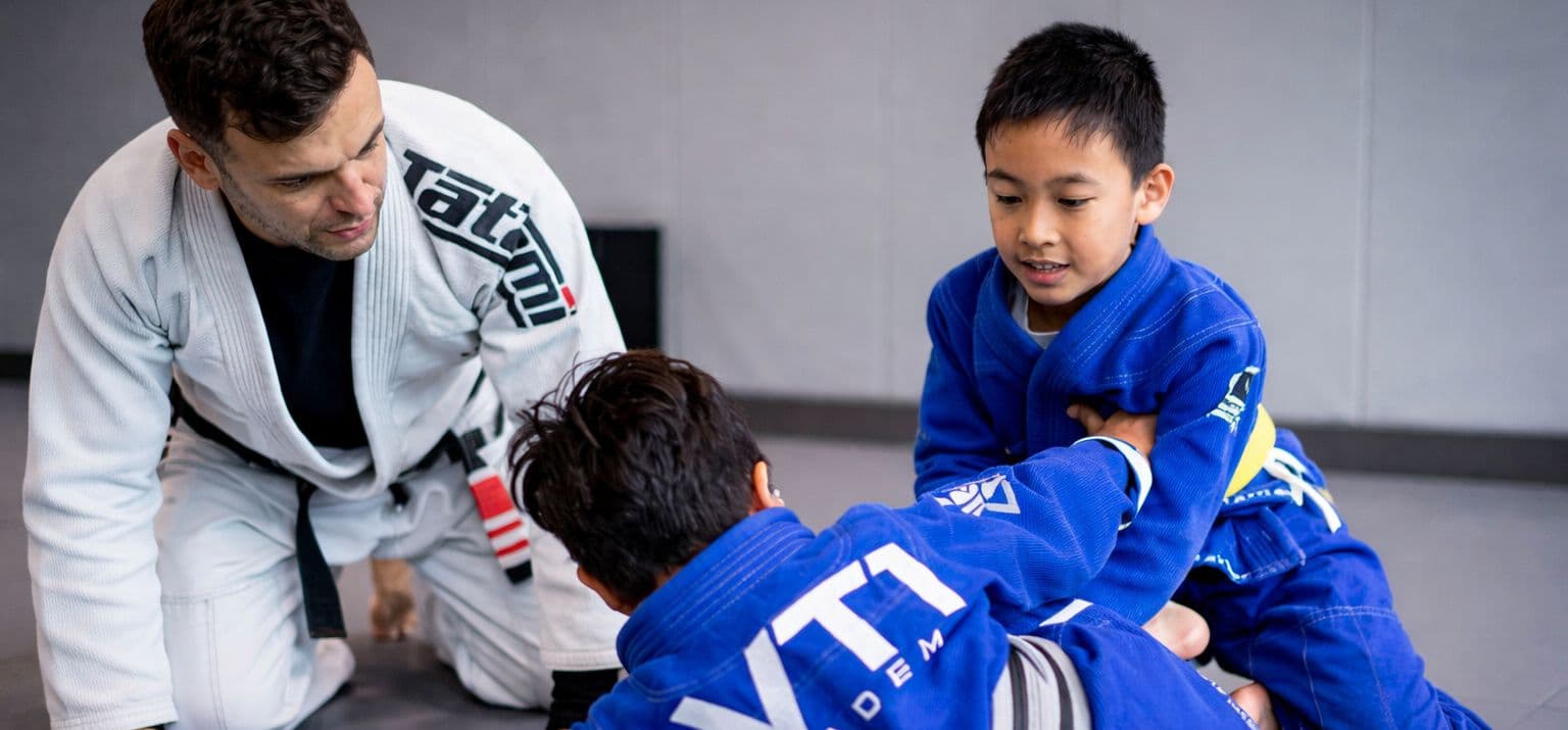 VT1 Martial Arts Academy Logo on Kidsbook