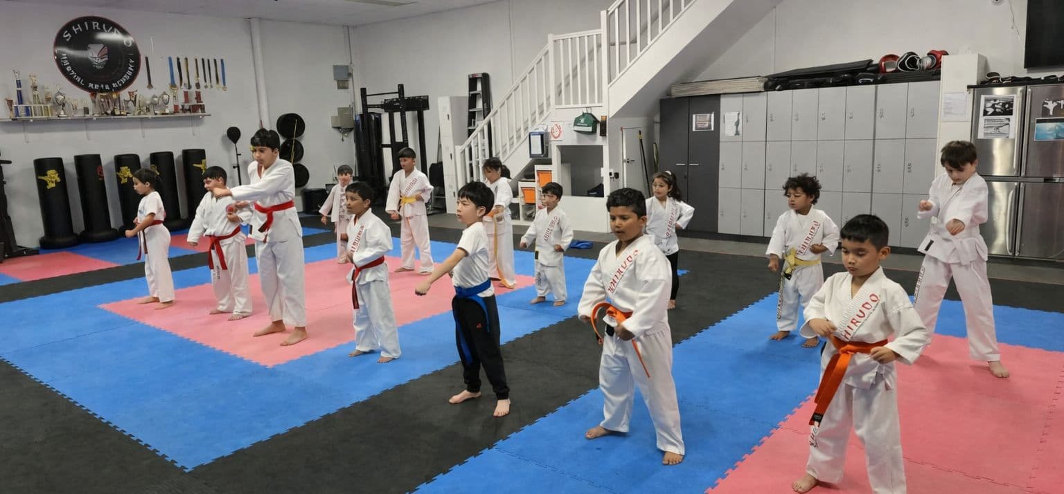 SHIRUDO Self Defence Logo on Kidsbook