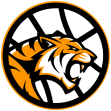 Inner City Tigers