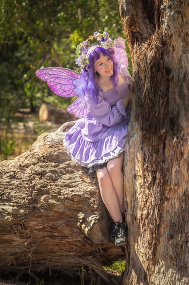Fairy Poppie