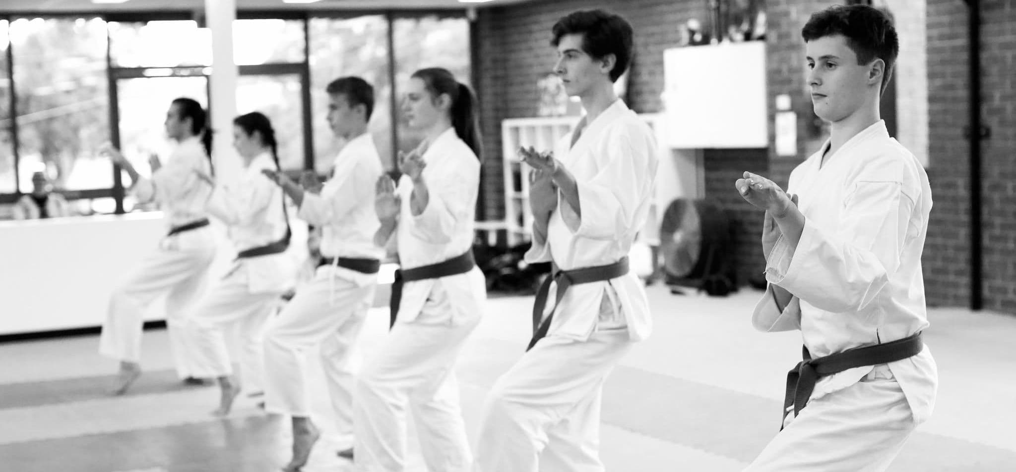 Kaizen Dojo Knox Logo on Kidsbook