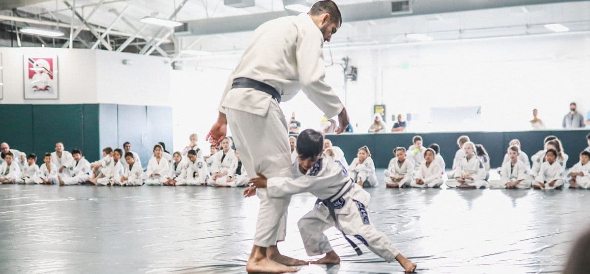Gracie Jiu-Jitsu Lilydale
