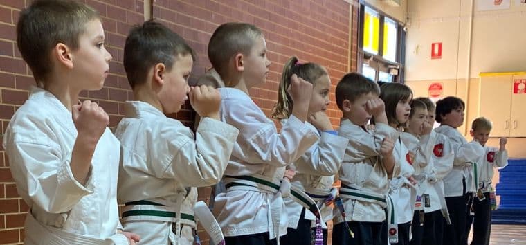 Tan Kyu Shin Martial Arts