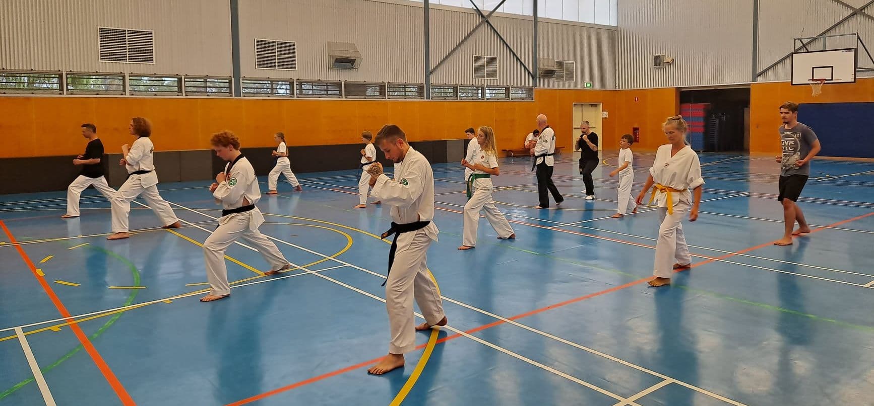 Real Defence Tkd Logo on Kidsbook