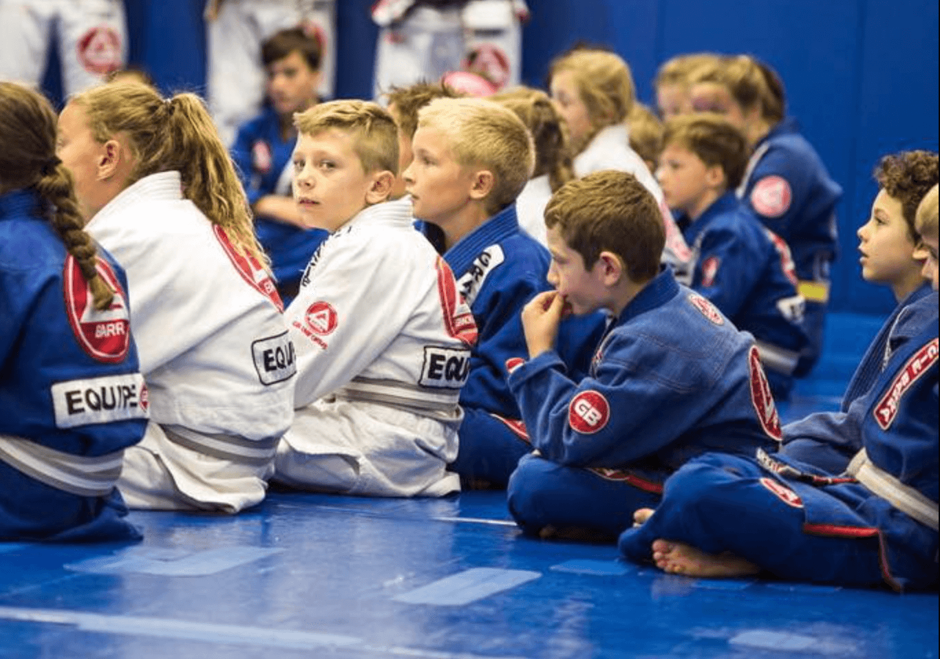 Gracie Barra Bondi & Mona Vale Logo on Kidsbook