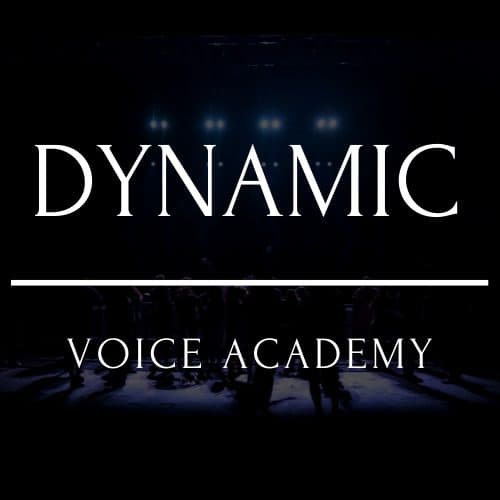 Dynamic Voice Academy Logo on Kidsbook