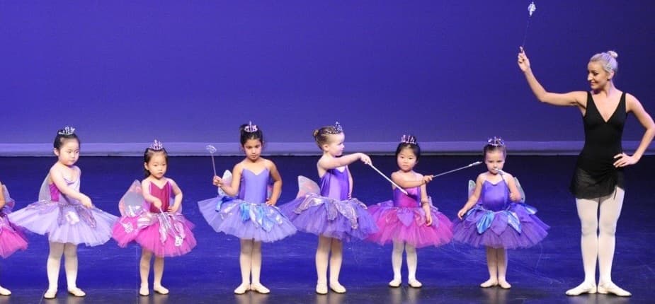 Sydney North Dance Logo on Kidsbook