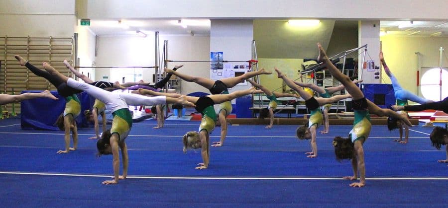 Australian Academy of Gymnastics Logo on Kidsbook