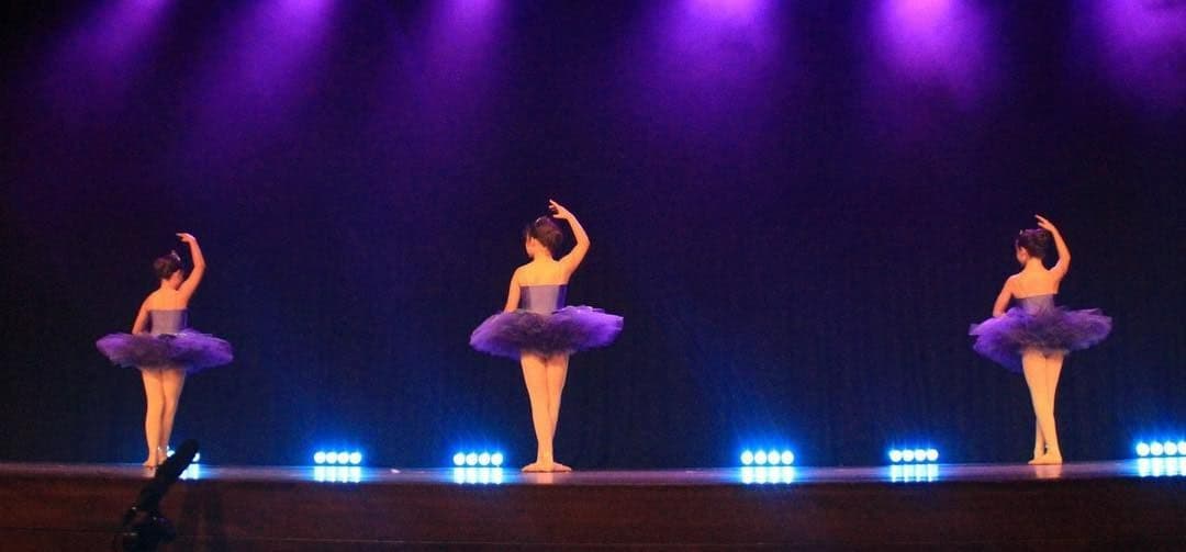 Lorrynne School of Dance Logo on Kidsbook