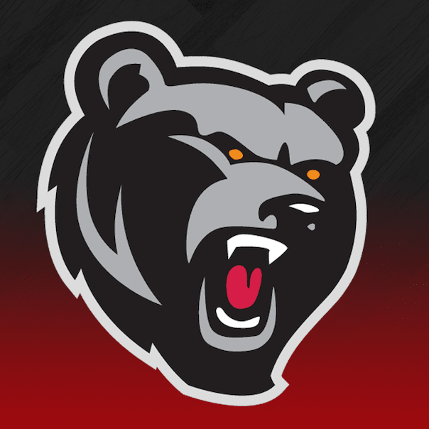 Northern Suburbs Basketball Association