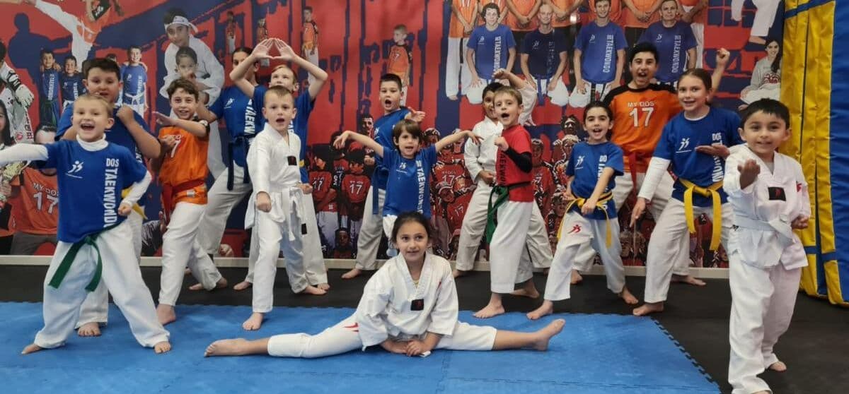 Dos Taekwondo Bankstown Logo on Kidsbook