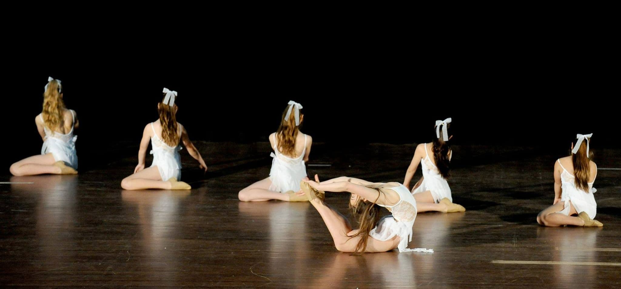 Sydney Dance and Gymnastics Academy Logo on Kidsbook