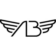 Air Born Cheerleading Logo on Kidsbook