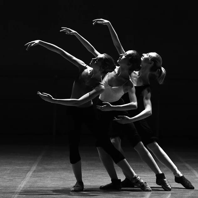 Leveda Carter Ballet School Logo on Kidsbook