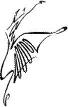 Dance Experience Logo on Kidsbook