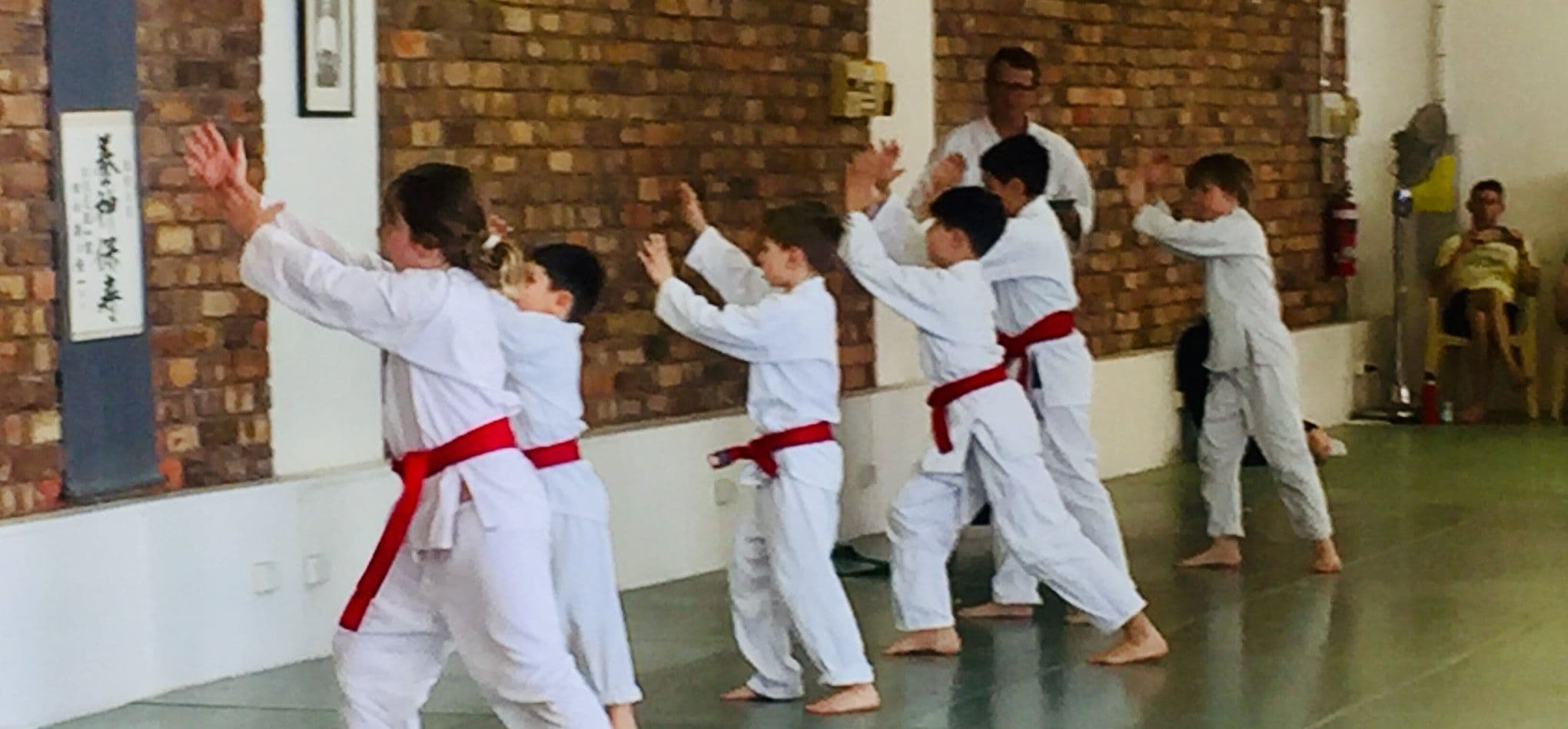 Aikido Yoshinkai NSW Logo on Kidsbook