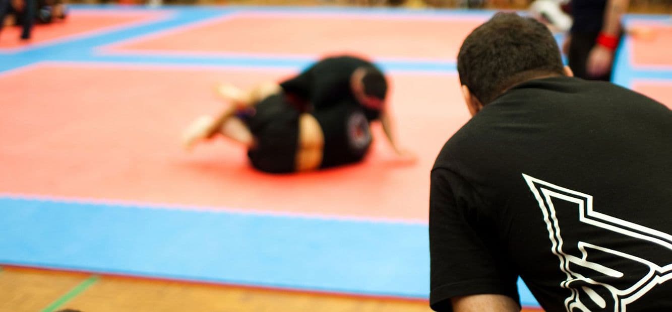 Lions Den Academy Brazilian Jiu Jitsu Logo on Kidsbook