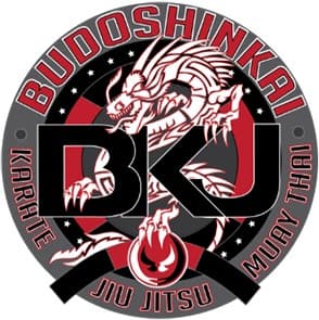 BKJ Martial Arts Logo on Kidsbook