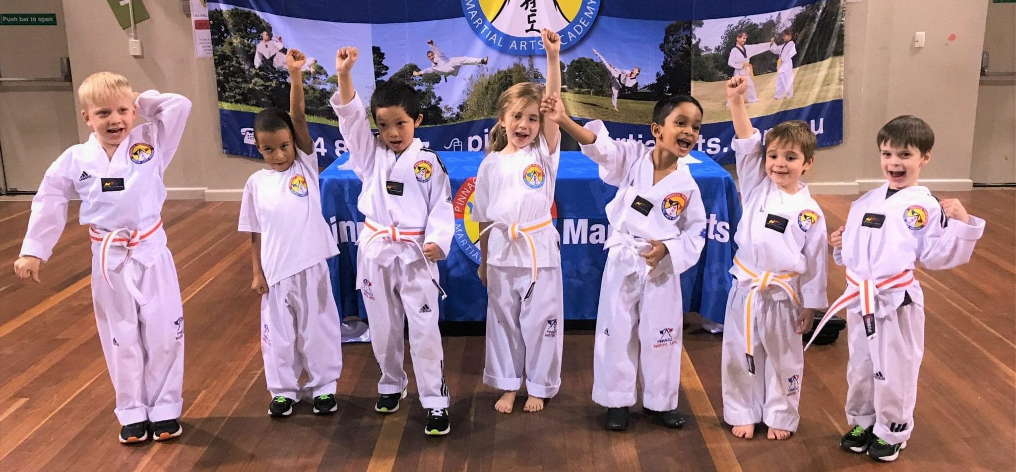 Pinnacle Martial Arts Academy Logo on Kidsbook