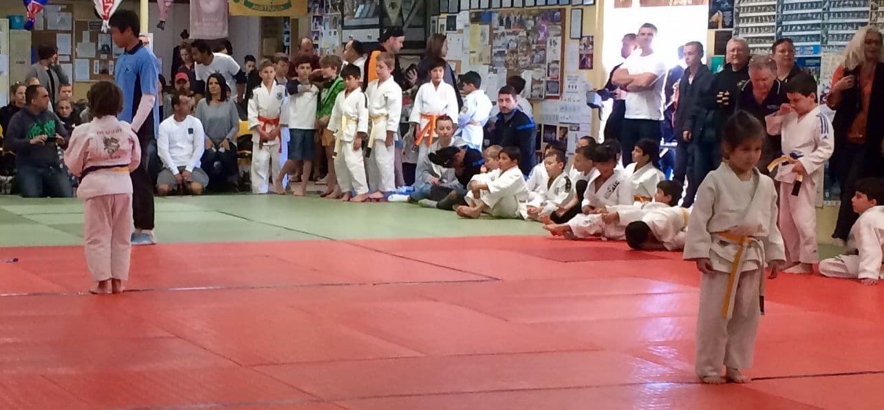 Budokan Judo Club Inc. Logo on Kidsbook