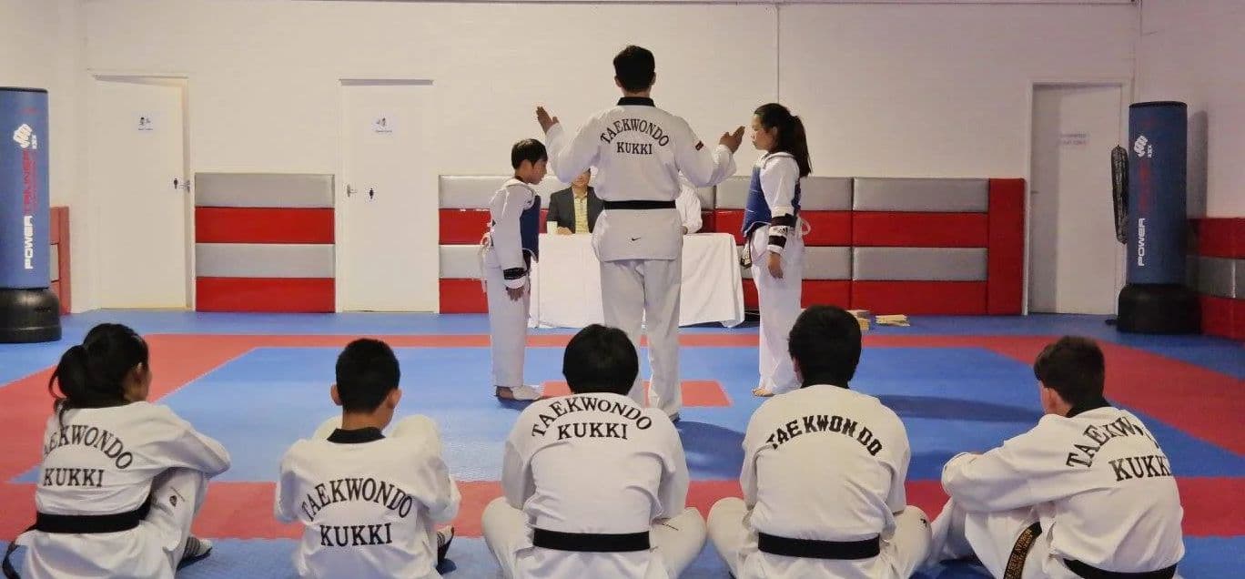 Kuk Ki Tae Kwon Do Logo on Kidsbook