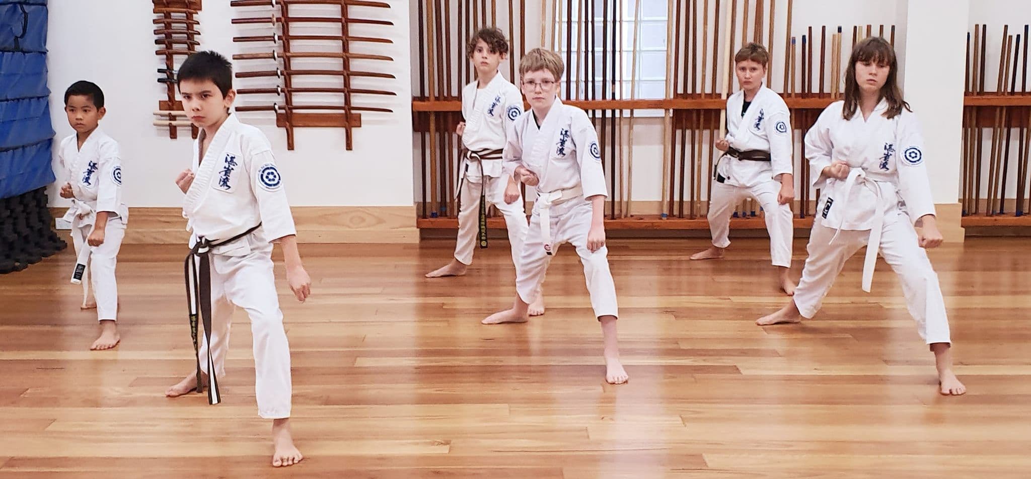 Jin Sei Ryu Karate-Do Australia Logo on Kidsbook