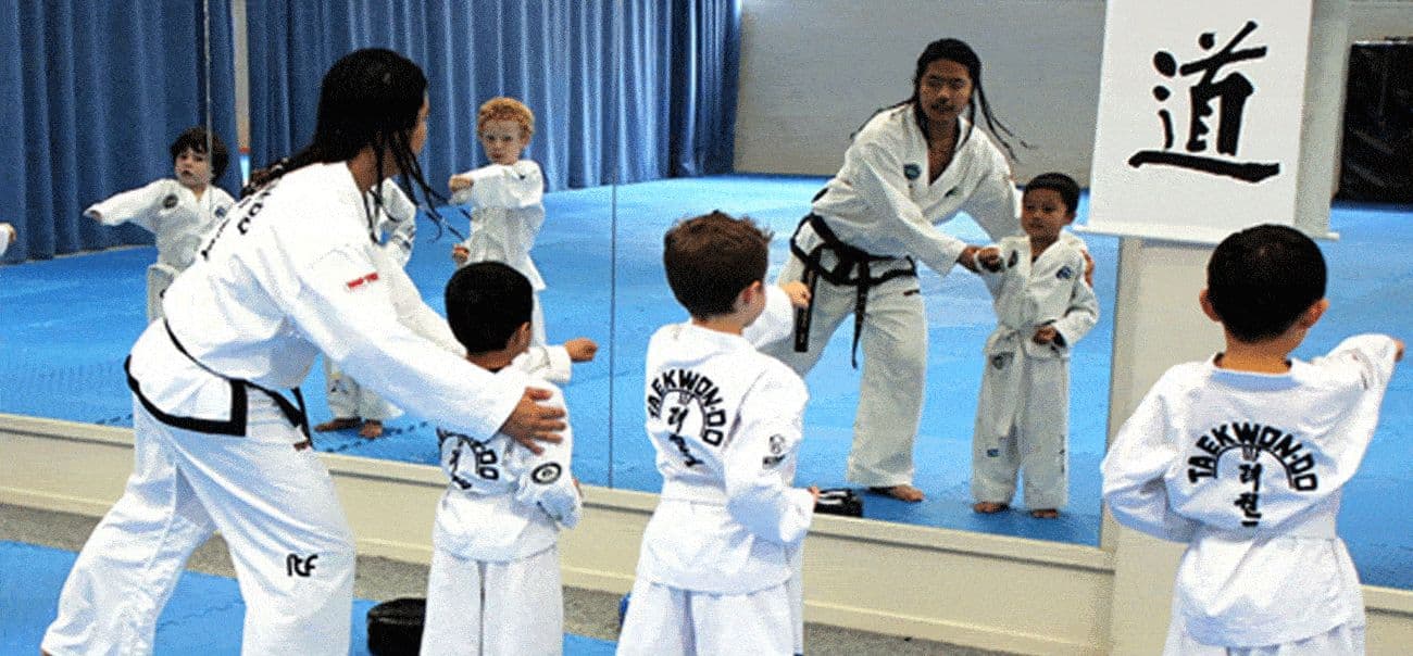 Parallax Taekwon-Do Logo on Kidsbook