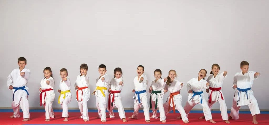 WSKK Martial Arts Logo on Kidsbook
