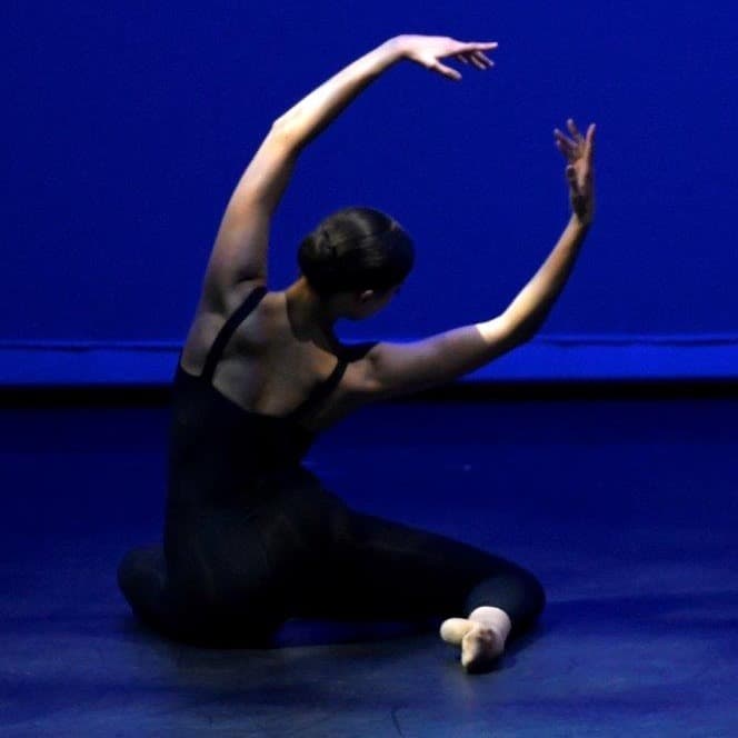 Newcastle Ballet Theatre Logo on Kidsbook