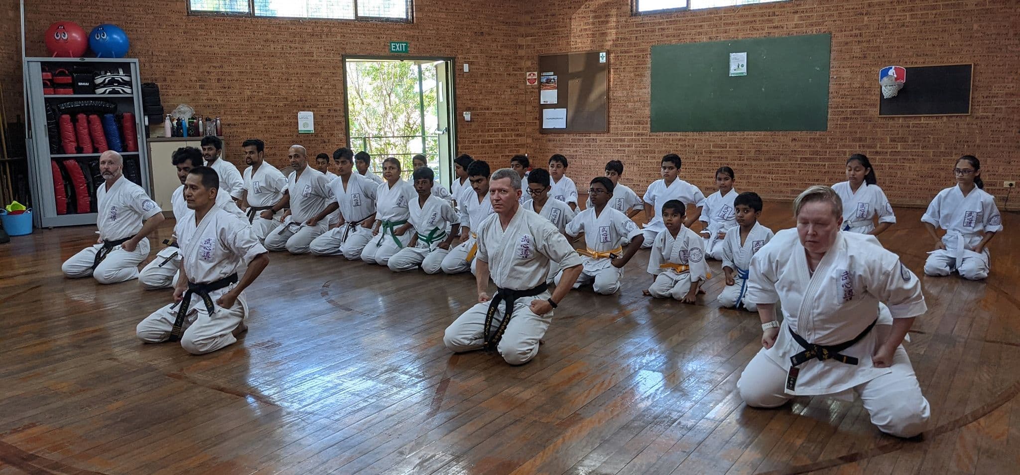 Bushindo Karate Academy Logo on Kidsbook