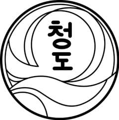 Chung Do Taekwondo Logo on Kidsbook