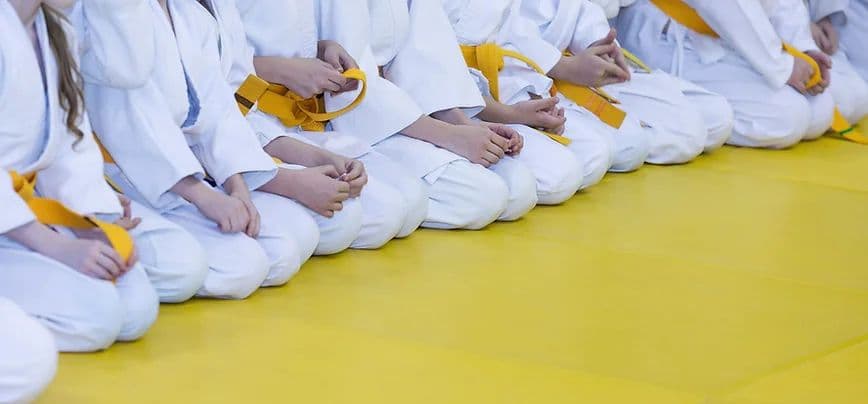Karate Central Logo on Kidsbook